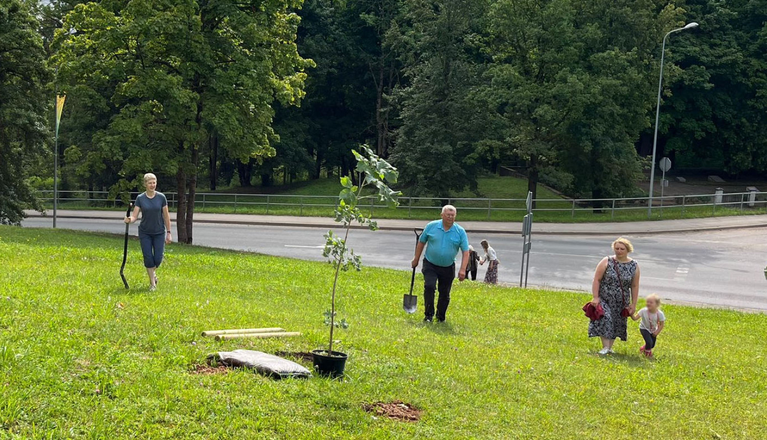 Meza dienas Aknīstē