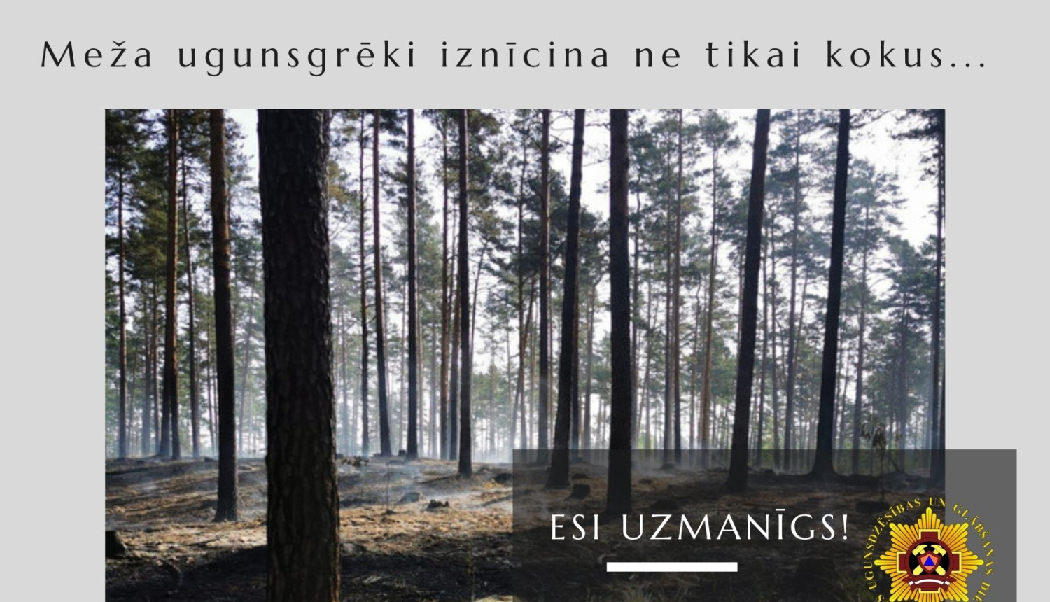 Plakāts par ugunsbīstamību mežos