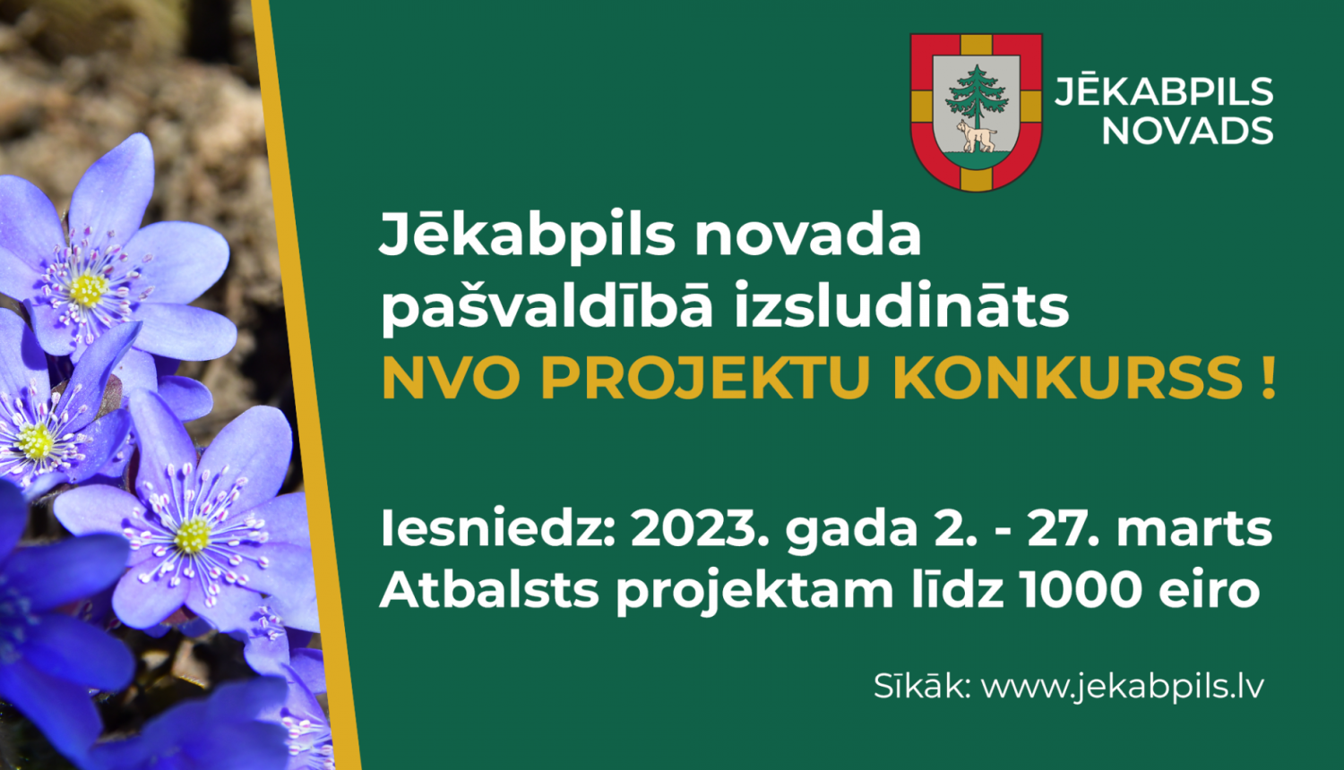 Posteris NVO projektu konkursam