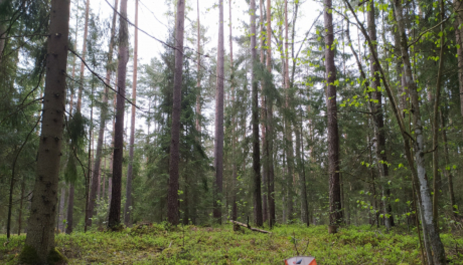 Aprīlī sāksies “Orientieris 2021” jaunā sezona