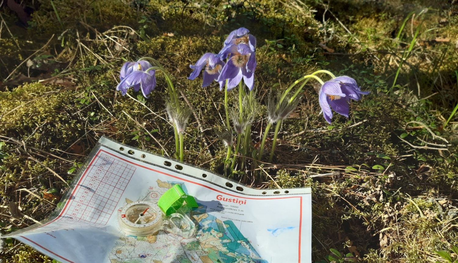 Attēls ar orientēšanās karti, kas nolikta uz zālāja, fonā no zemes aug pavasara puķes
