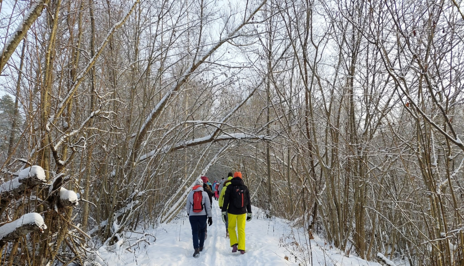 Personas dodas pārgājienā pa sniegotu meža celiņu