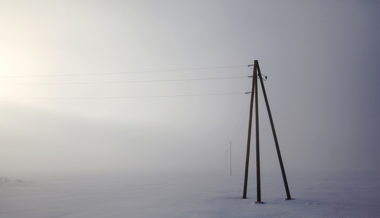 sadales tīkls - ilustratīvs foto