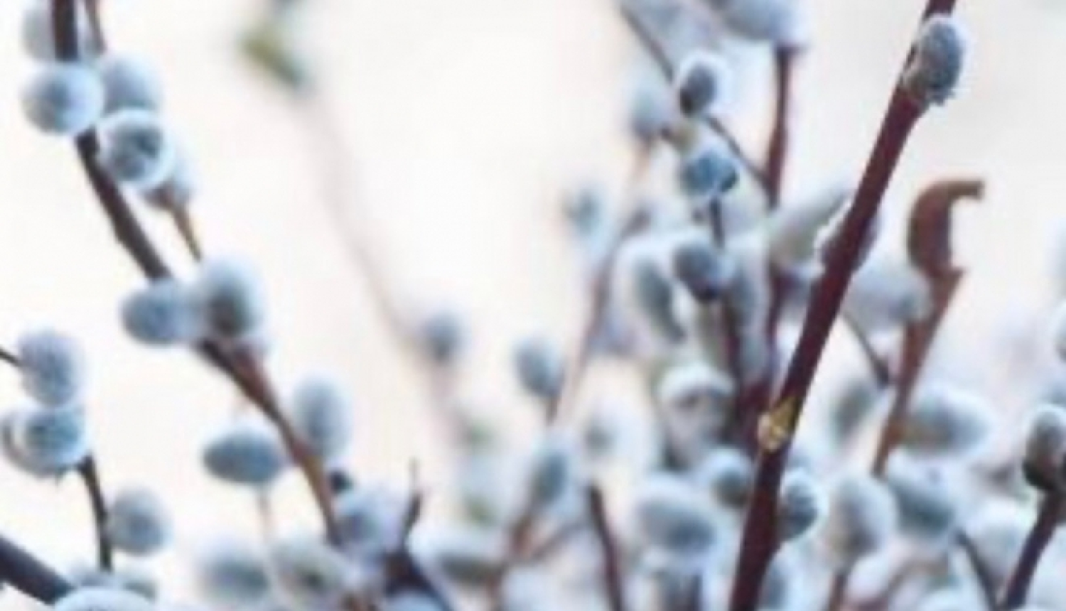 Psihologa vadītu lekciju cikls 