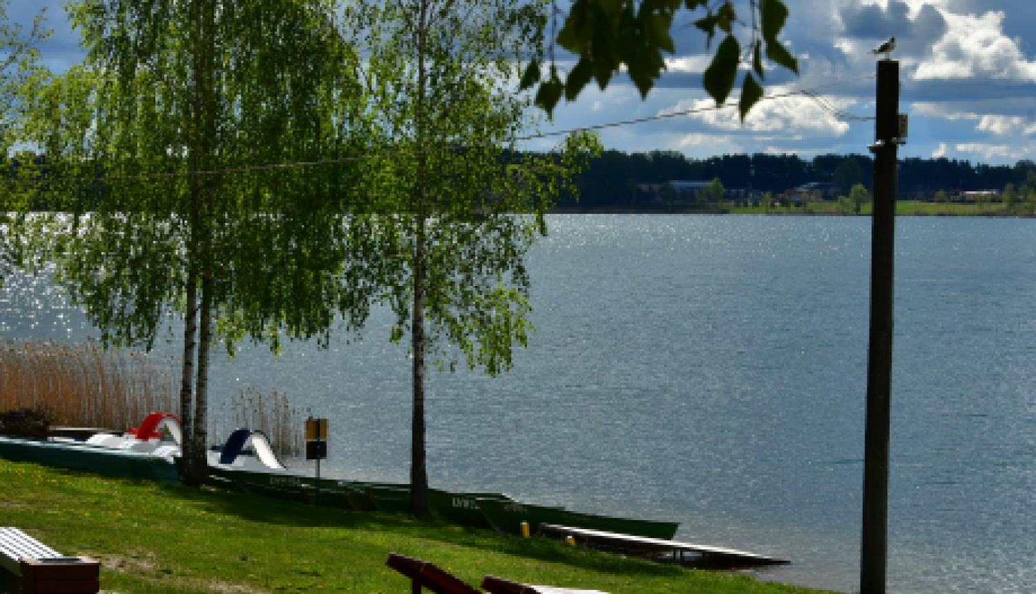 Tiks papildināti zivju resursi Radžu ūdenskrātuvē