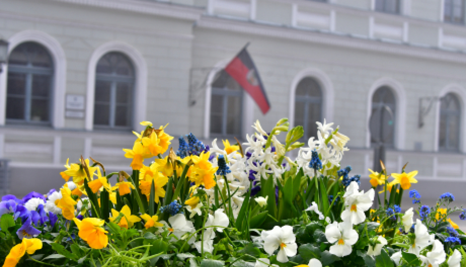 Par skolu mācību procesu klātienē dome atkārtoti lems pēc Lieldienām