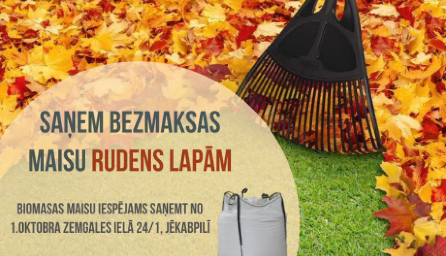 No 1.oktobra iespējams saņemt bezmaksas maisu rudens lapām