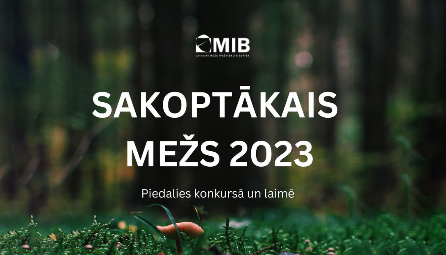 Teksts uz meža bildes fona