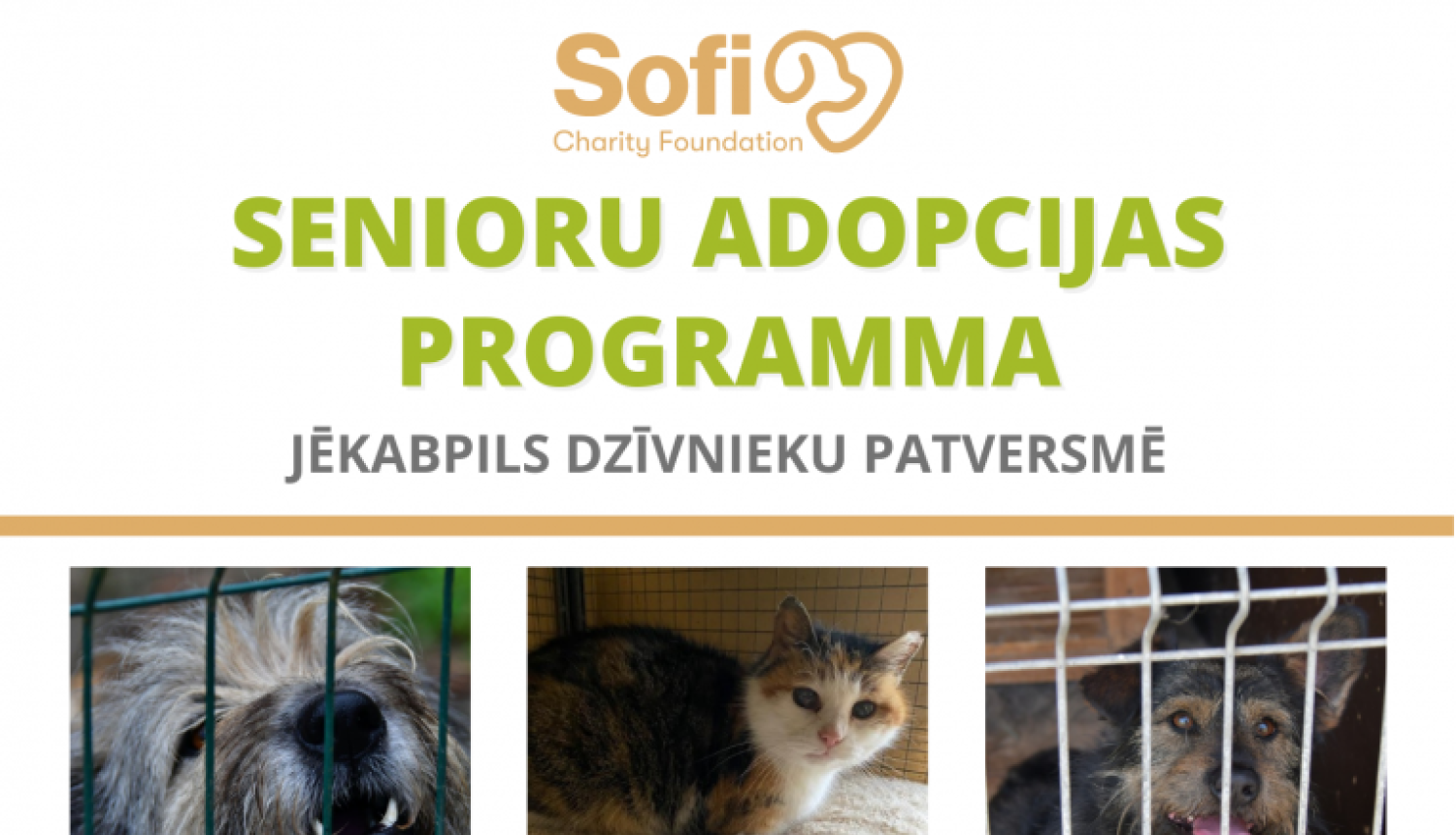 Suņi un kaķi- seniori