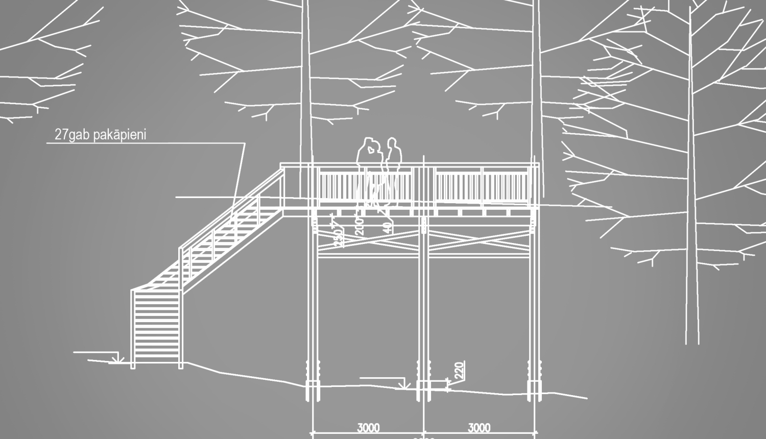 Skatu platformas projekts Zasas muižas parkā