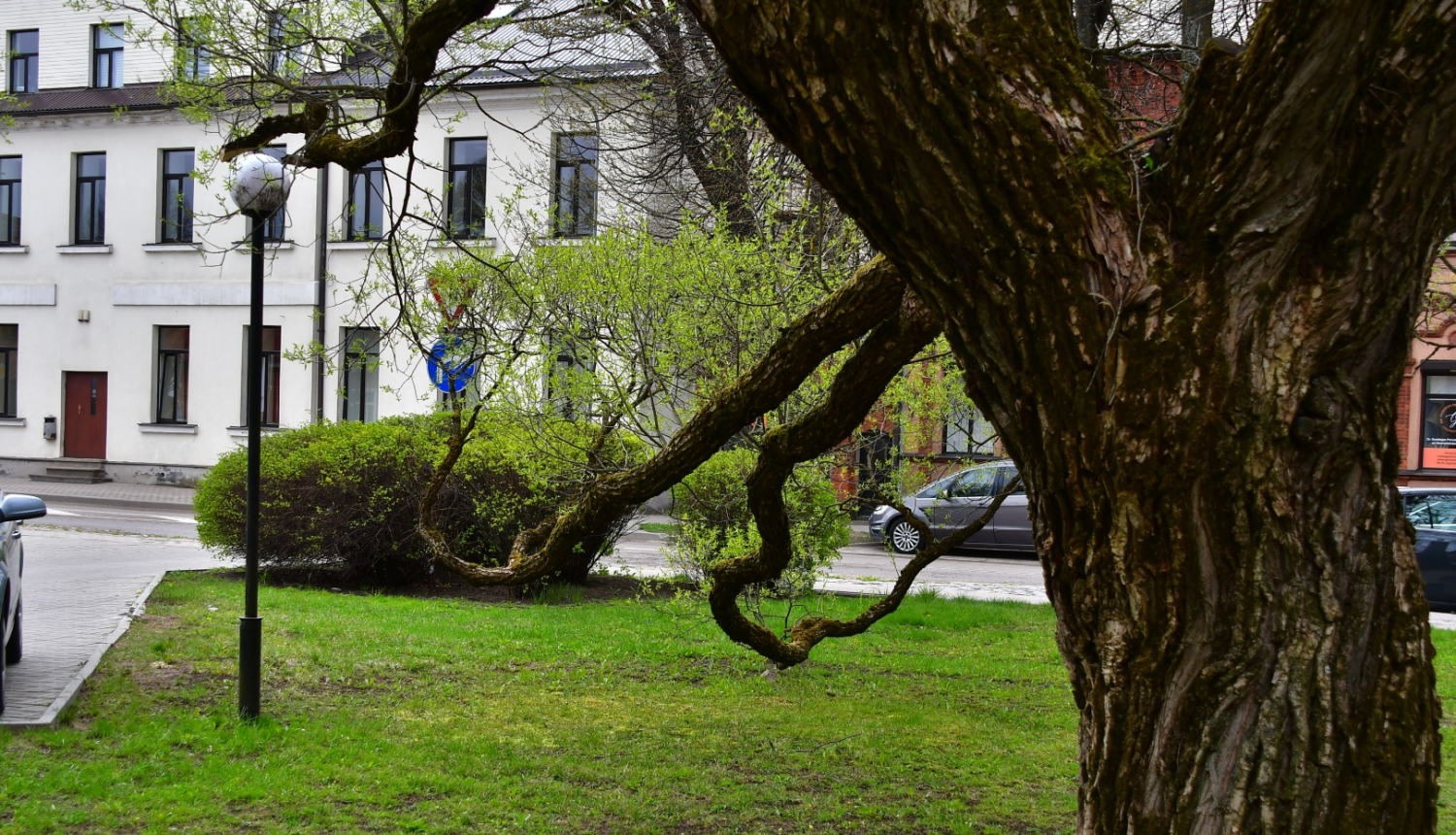 Ēka Rīgas iela Jēkabpilī