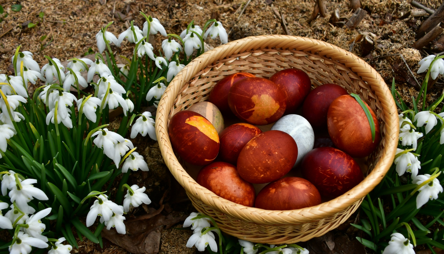 Lieldienu olas un sniegpulkstenīši