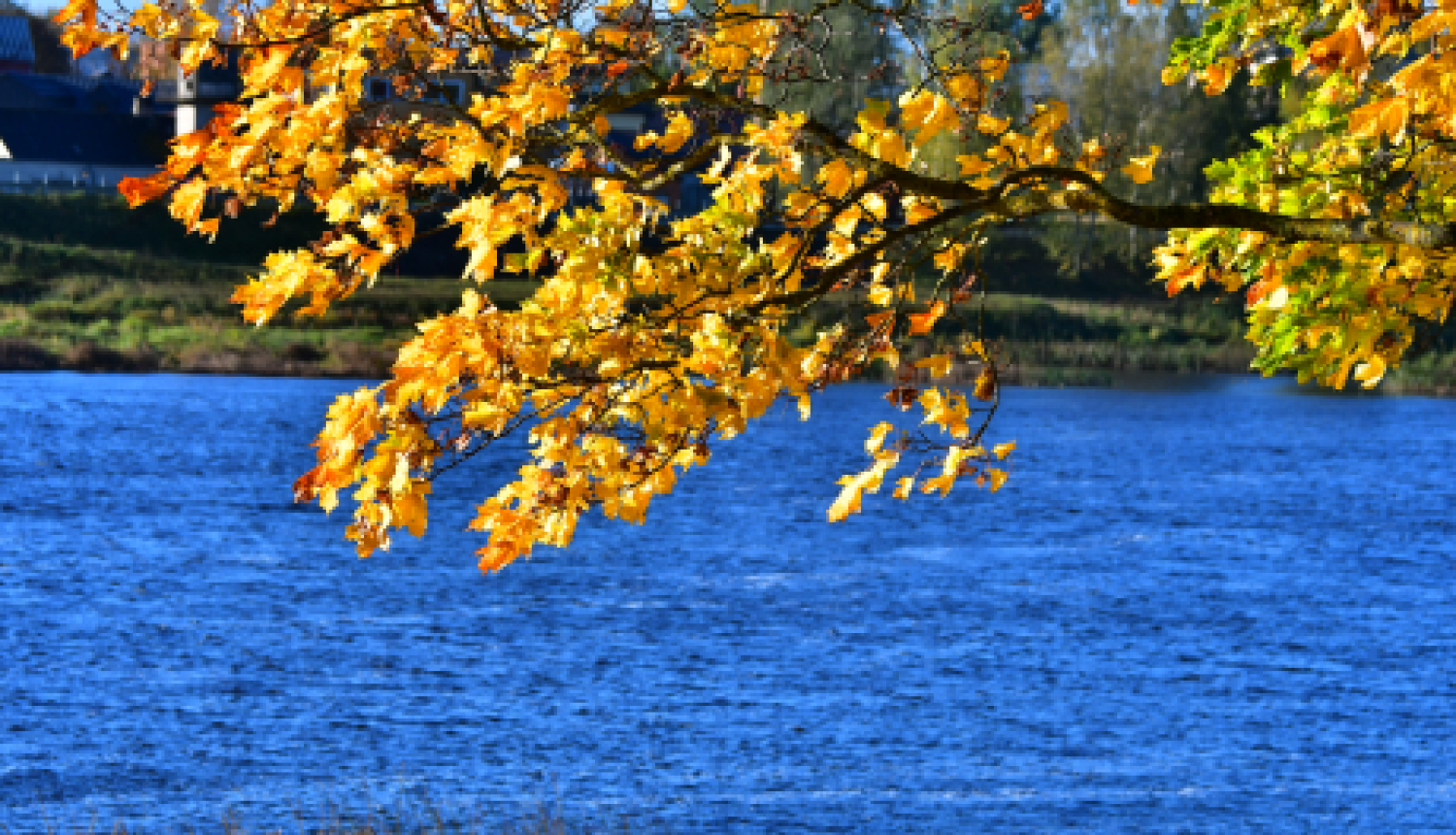 Biedrībai „Jauniešu klubs “13.pirmdiena”” realizēts pilotprojekts "DZĪVES PRASMJU LABORATORIJA"