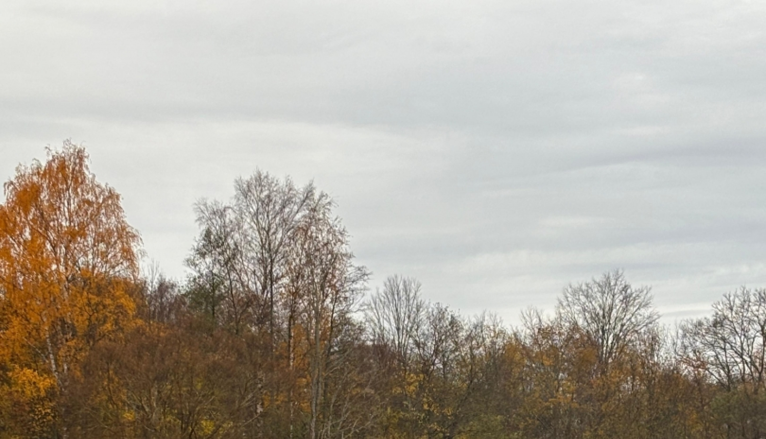 makšķerēšanas sacensības Marinzejas ezerā, divi makšķernieki un laiva