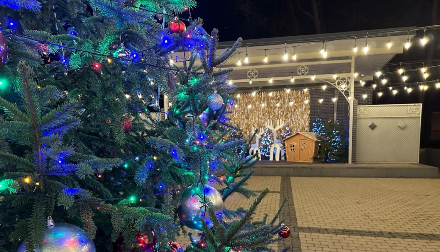 Kena parks, Ziemassvētku eglīte