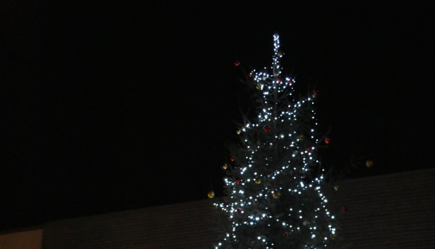 Eglīte Salā, Salas pagastā