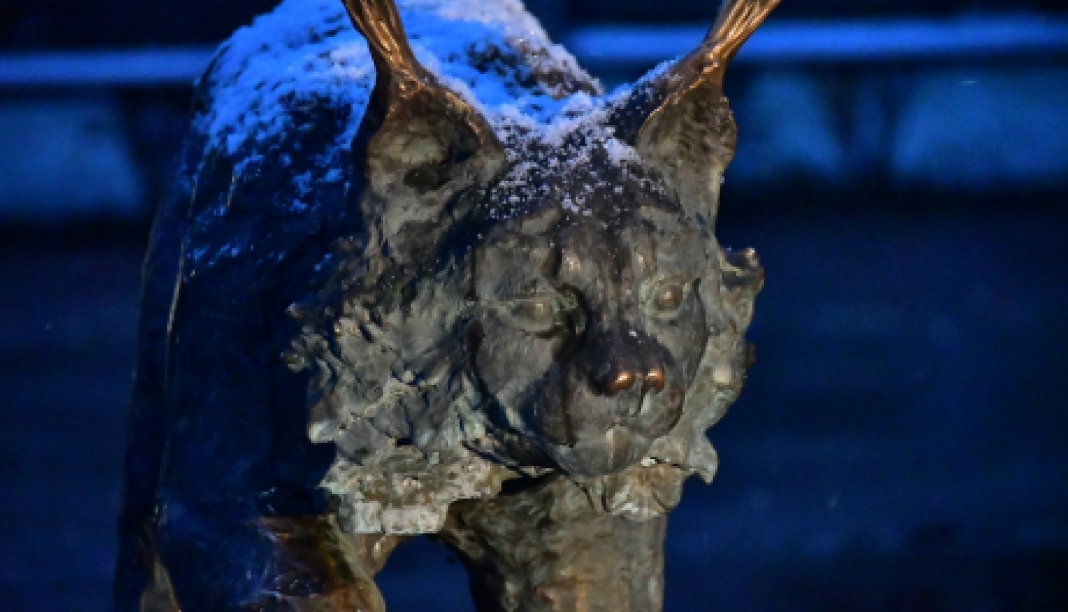 Pašvaldības nedēļas plāns 30.11.- 06.12.