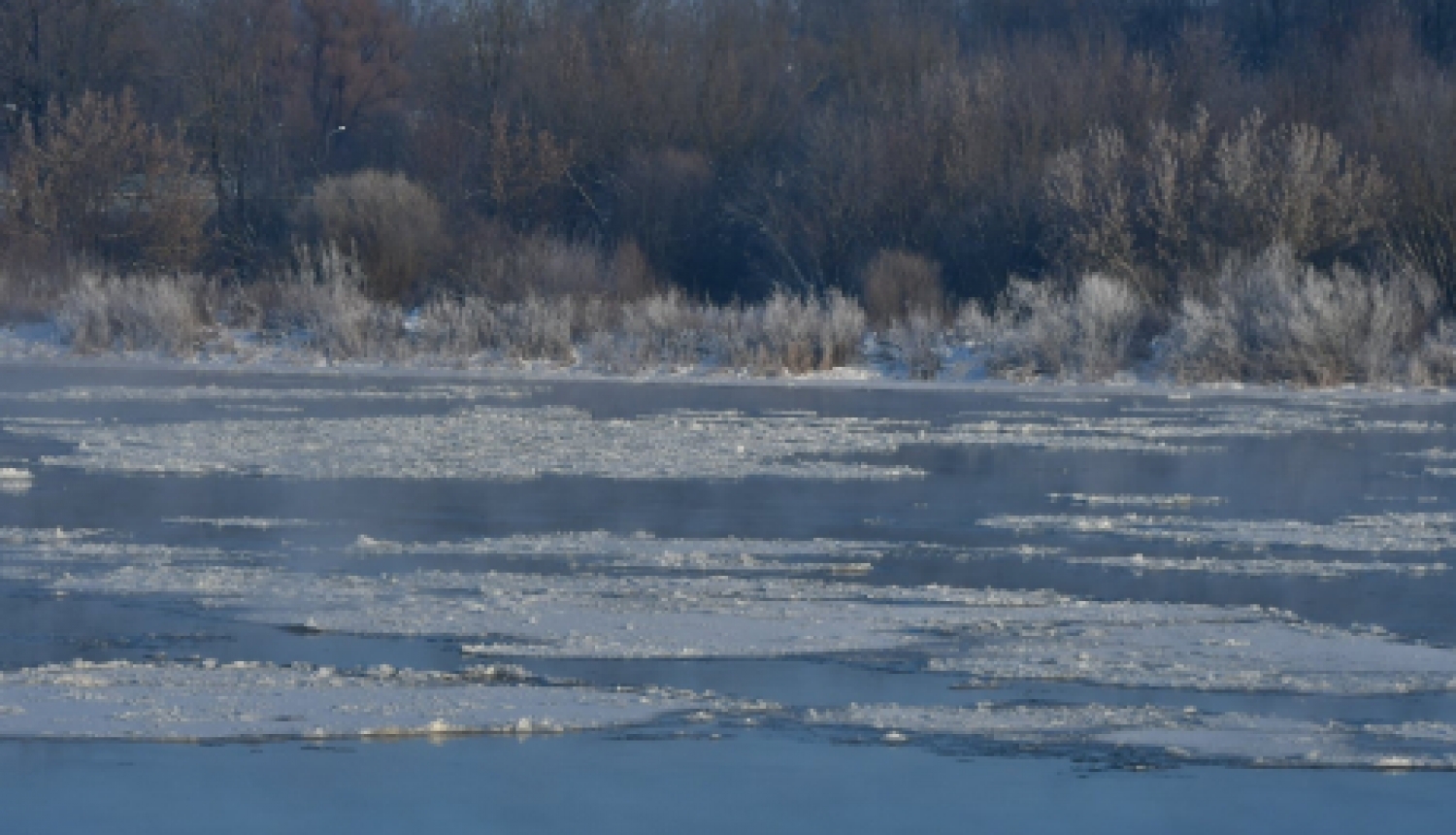 Uz laiku par SIA “Jēkabpils pakalpojumi” valdes locekli ievēlēta Anita Moskovska