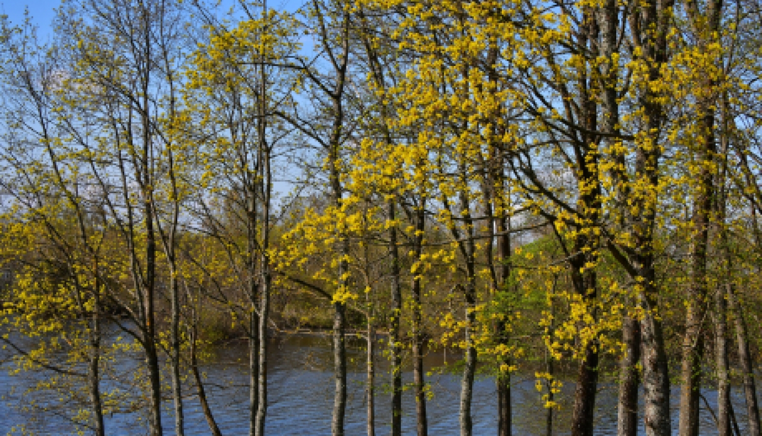 Izglītības iespējas personām ar invaliditāti un garīgā rakstura traucējumiem