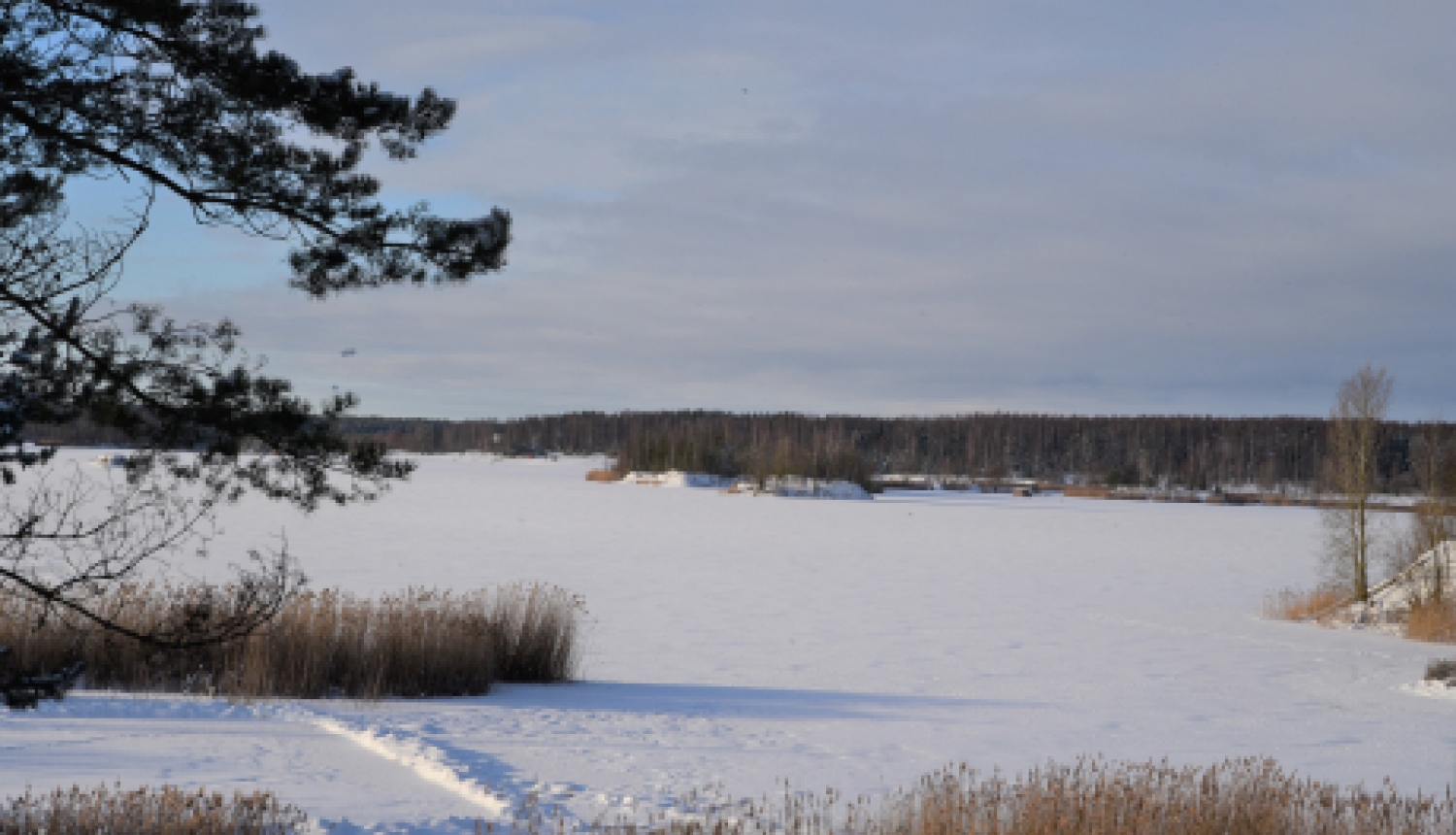 Atļauts atrasties uz Radžu ūdenskrātuves ledus