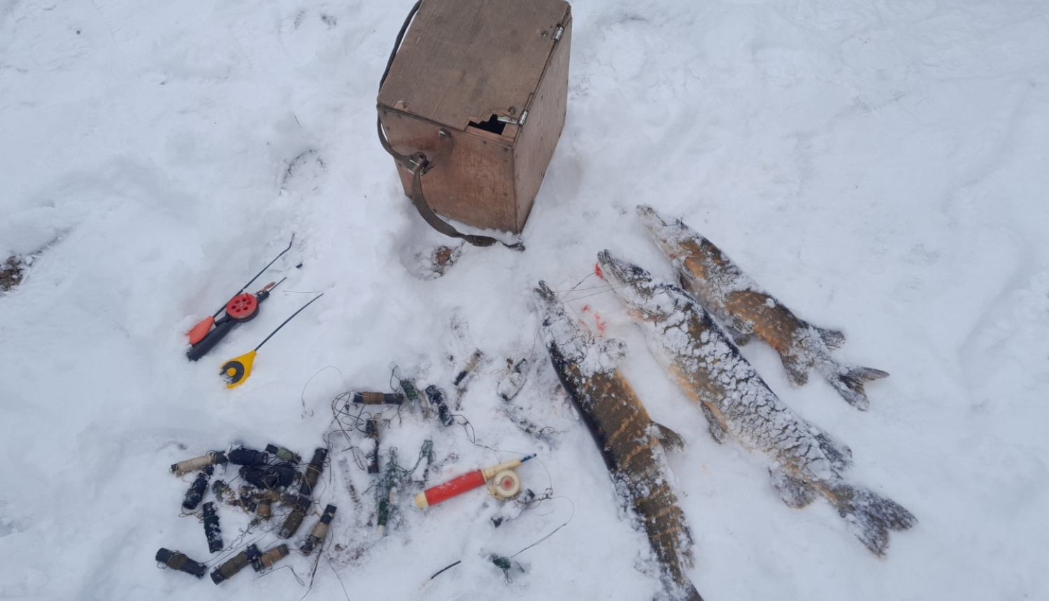 Uz sniega stāv zemledus makšķernieka aprīkojums un nelegāli noķertas zivis
