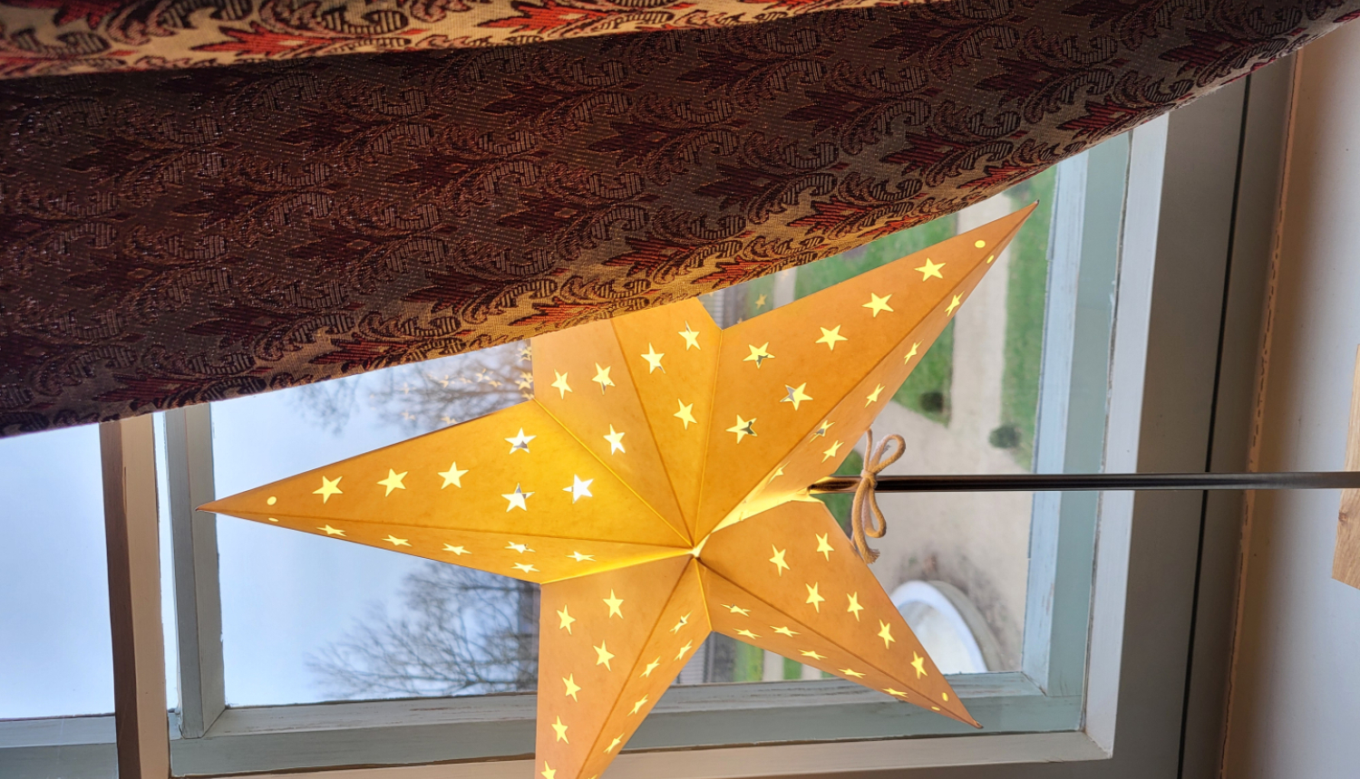 Ziemassvētku zvaigzne