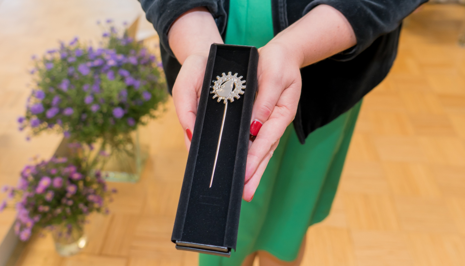 Selijas_salas_Selijas_sudraba_nominanti 