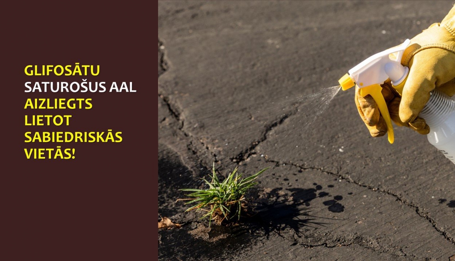 Roka izsmidzina no pudeles škidrumu uz zāles