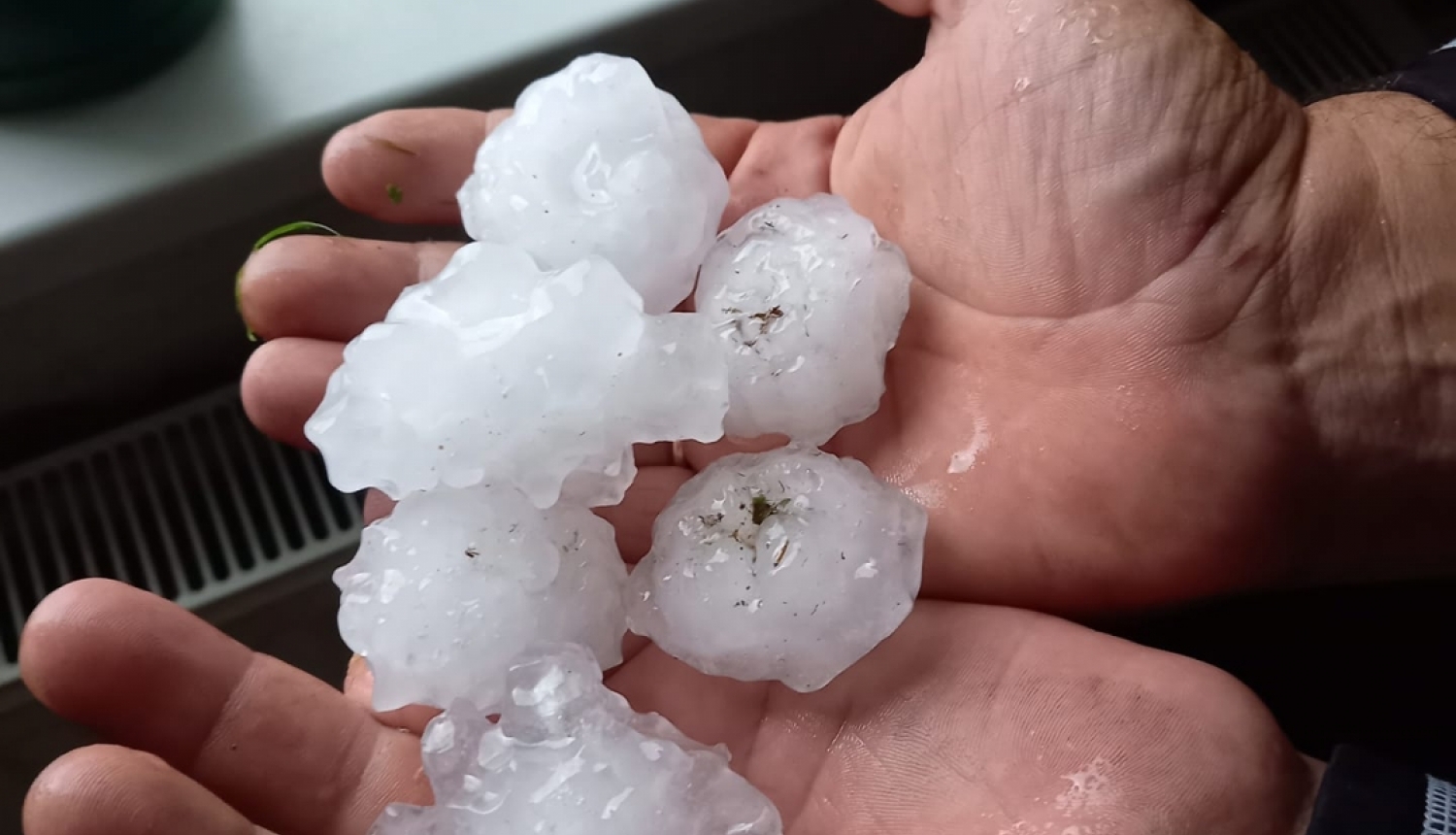 Krusa Rites pagastā