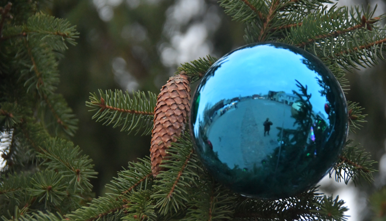 Čiekurs un egles zars