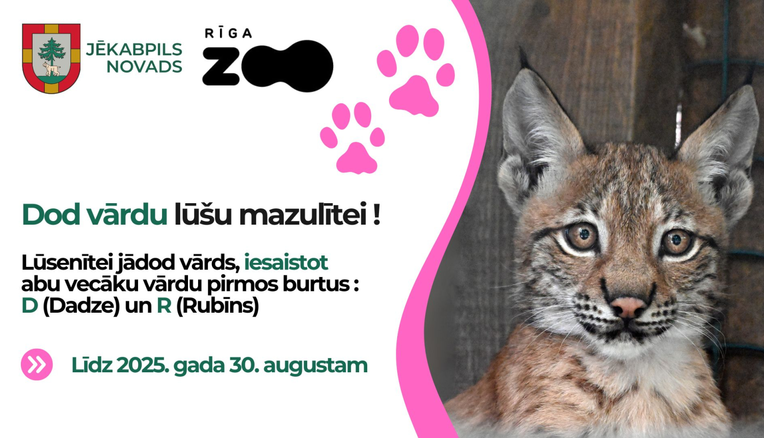 Vārdu došana lūsiem 2025