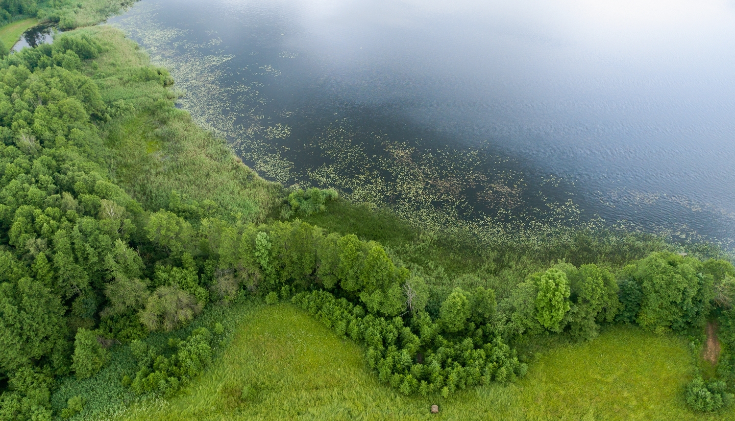 Zaļa ainava no drona skatu punkta