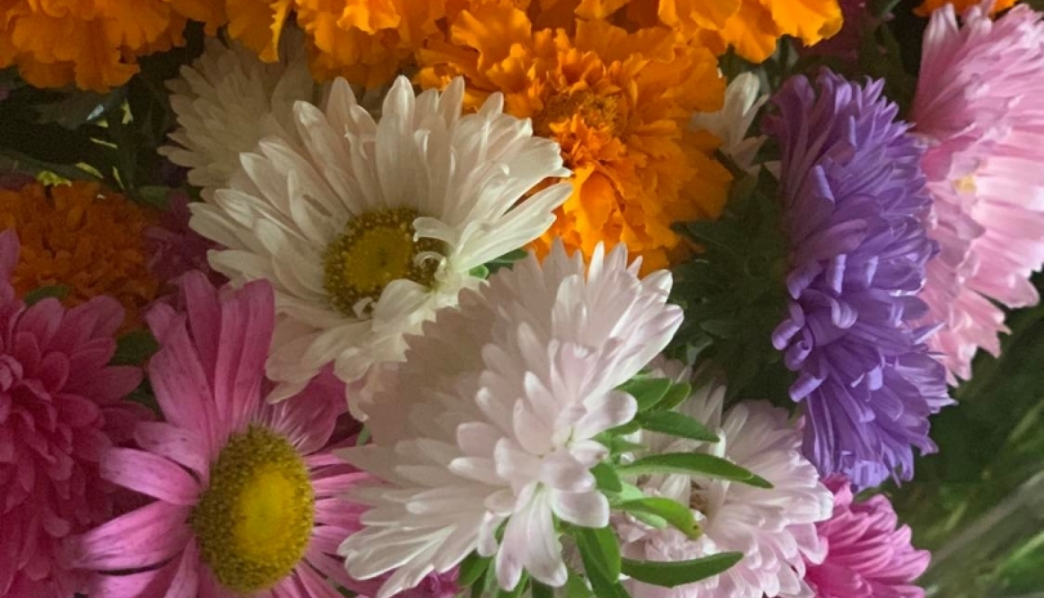 Psihologa lekcijas rudens