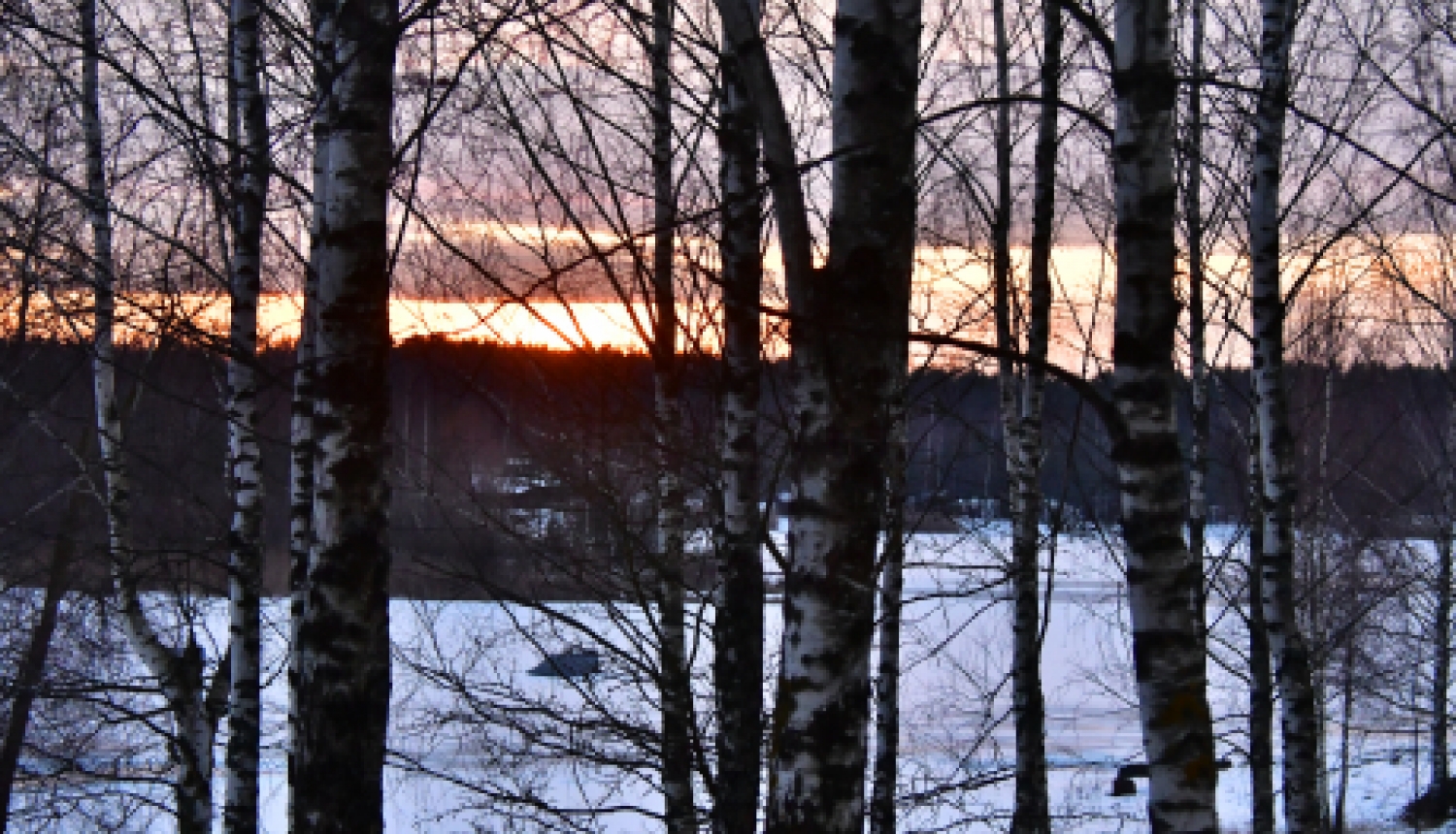 Pašvaldības nedēļas plāns 25.01.-31.01.