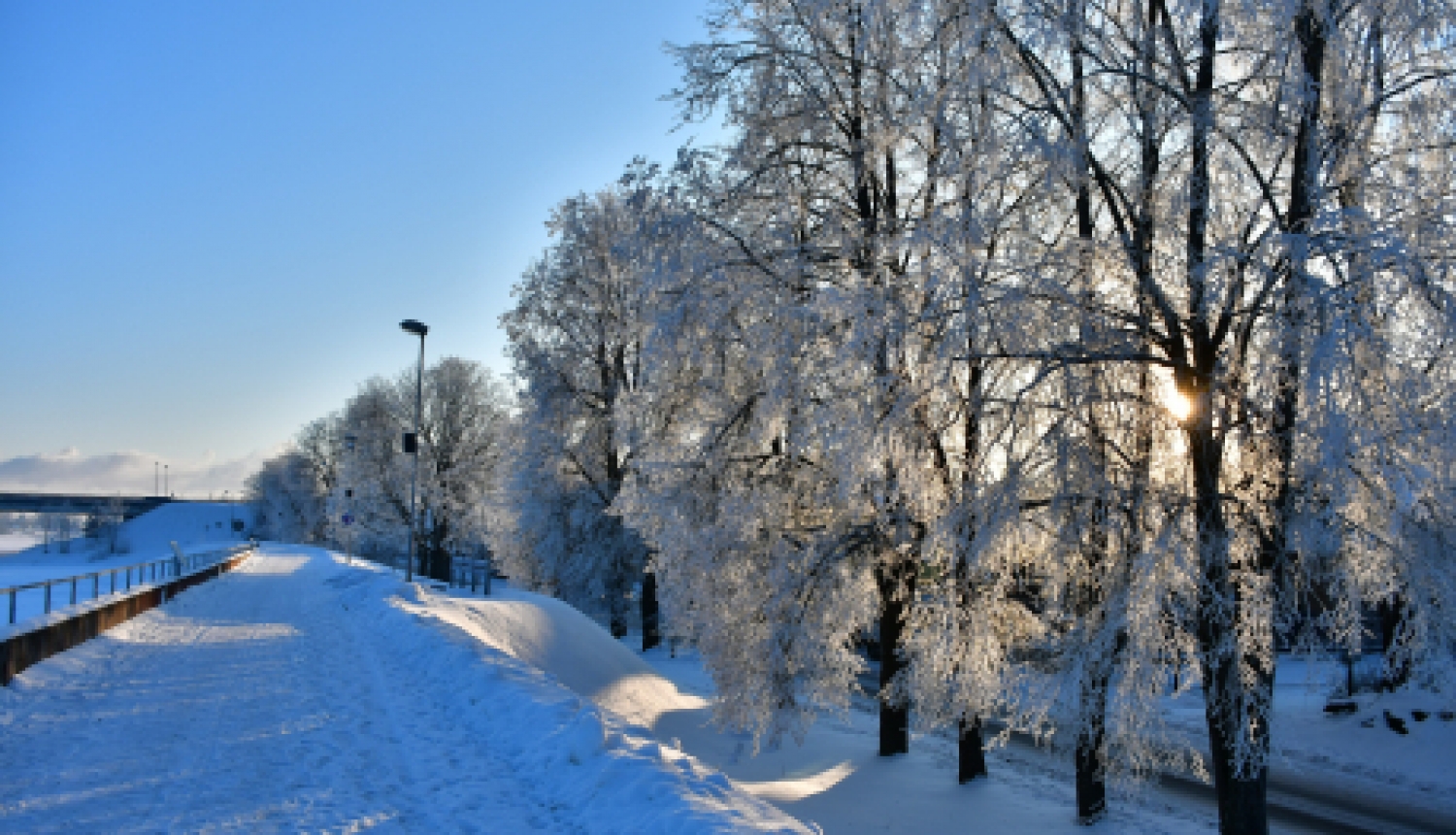 Par kuponu iegādi pārtikas preču iegādei skolēniem