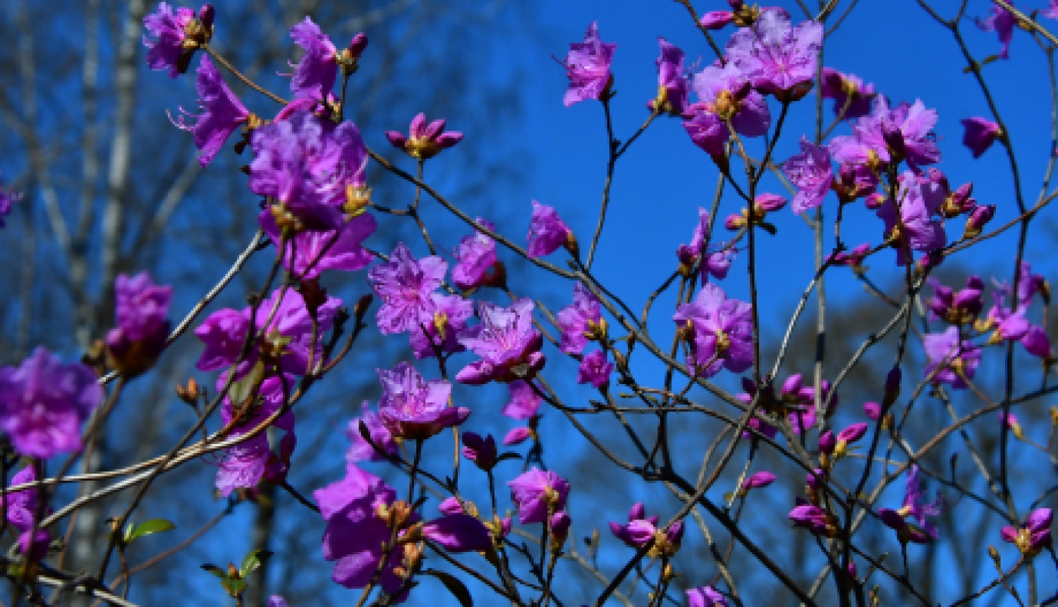 Pašvaldības nedēļas plāns 19.04.-25.04.