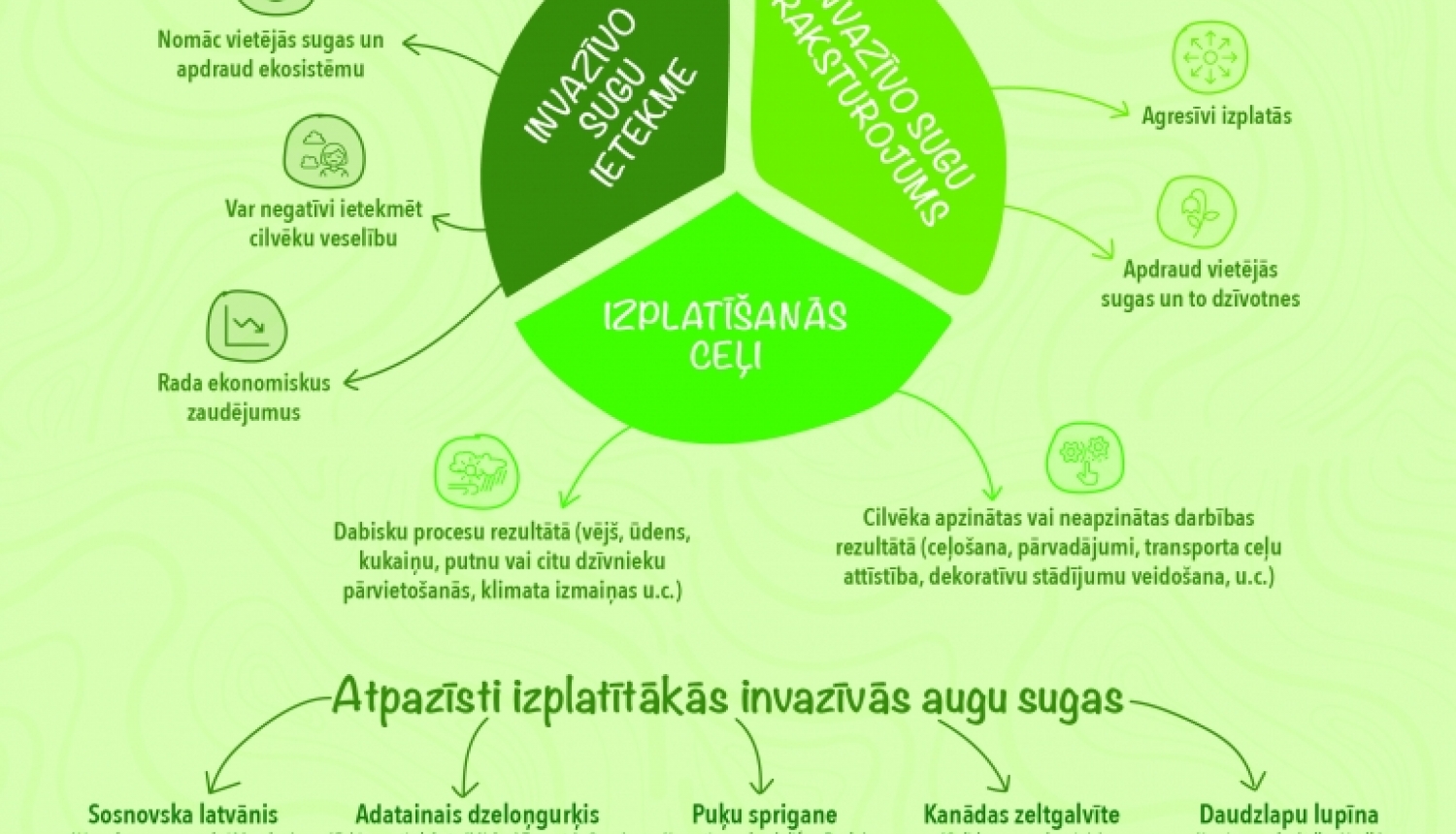 Infografika ar invazīvajām sugām