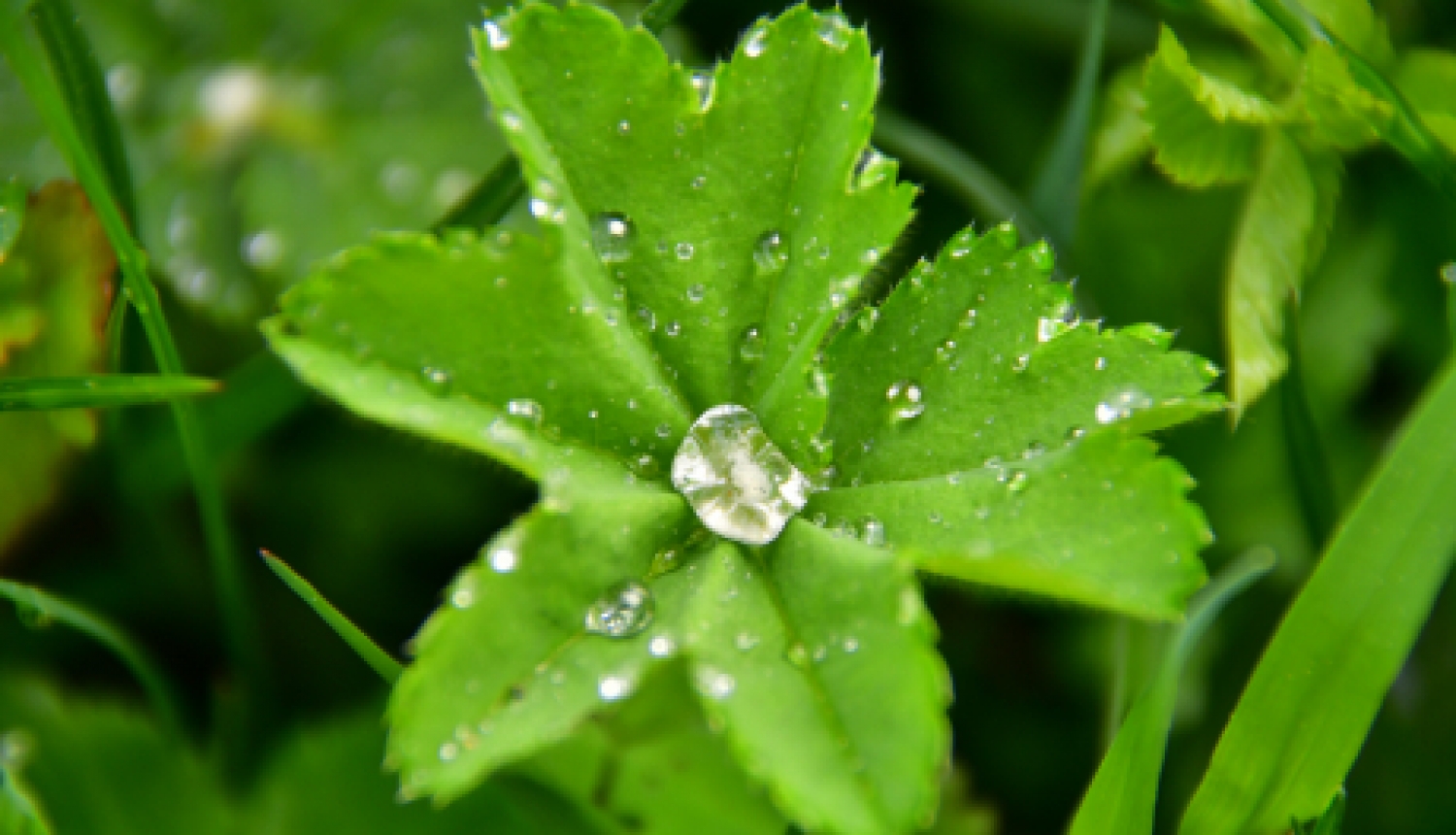 21.maijā aicina uz bezmaksas lekciju “Stress un veselība”                                                 