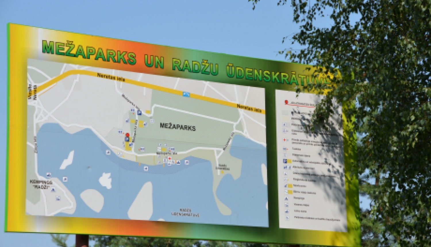 10.oktobrī uz sportiskām aktivitātēm aicina biedrība "Dzīvības koks"