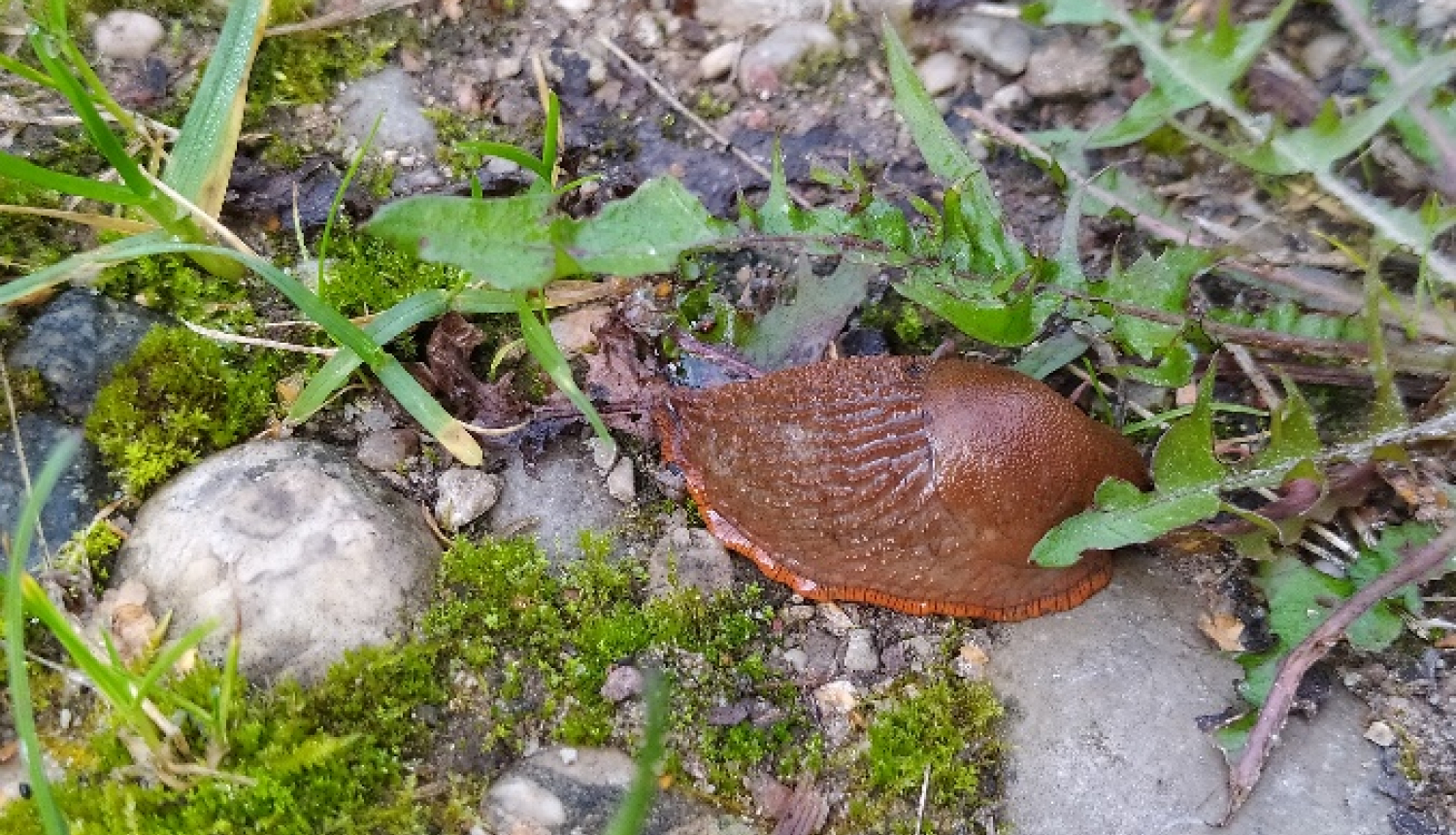 (Foto: Iveta Jakubāne)