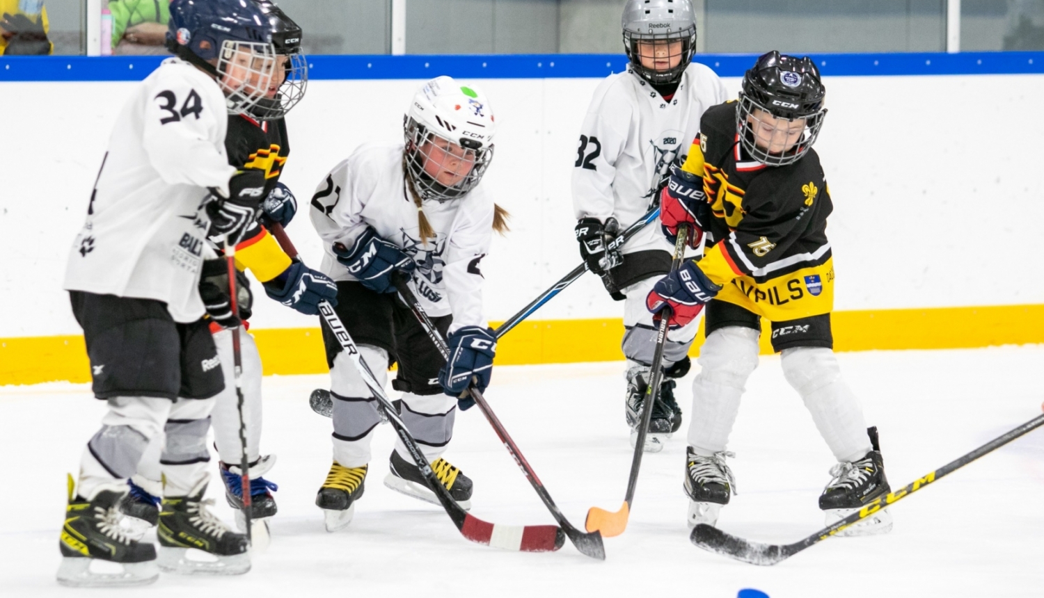 Roks & hokejs - publicitātes foto (4 mazie hokejisti cīnās uz ledus par ripu)