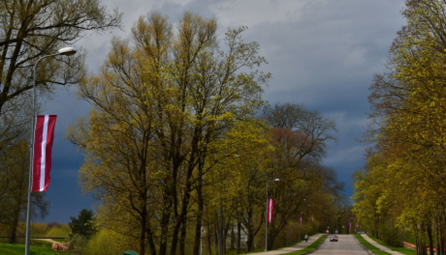 17. maijā sākas skolēnu elektroniskā reģistrācija dalībai NVA vasaras nodarbinātības pasākumā