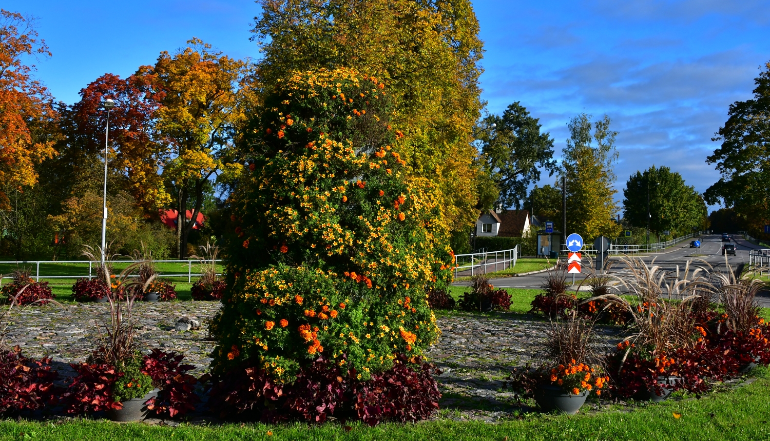 Satiksmes rotācijas aplis Vienības ielā, Jēkabpilī