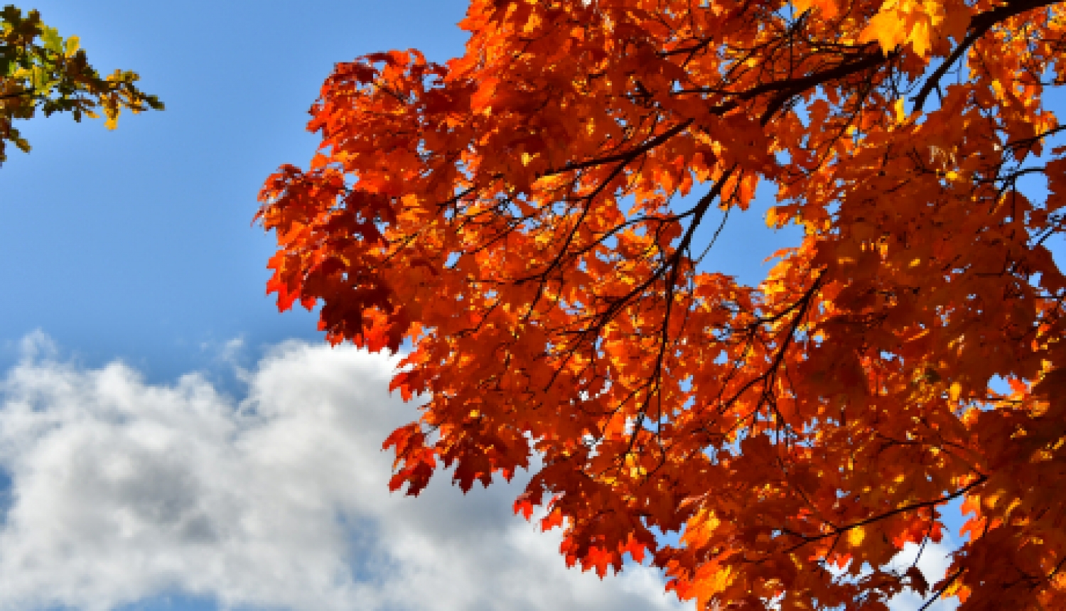 Pašvaldības nedēļas plāns 12.10.-18.10.