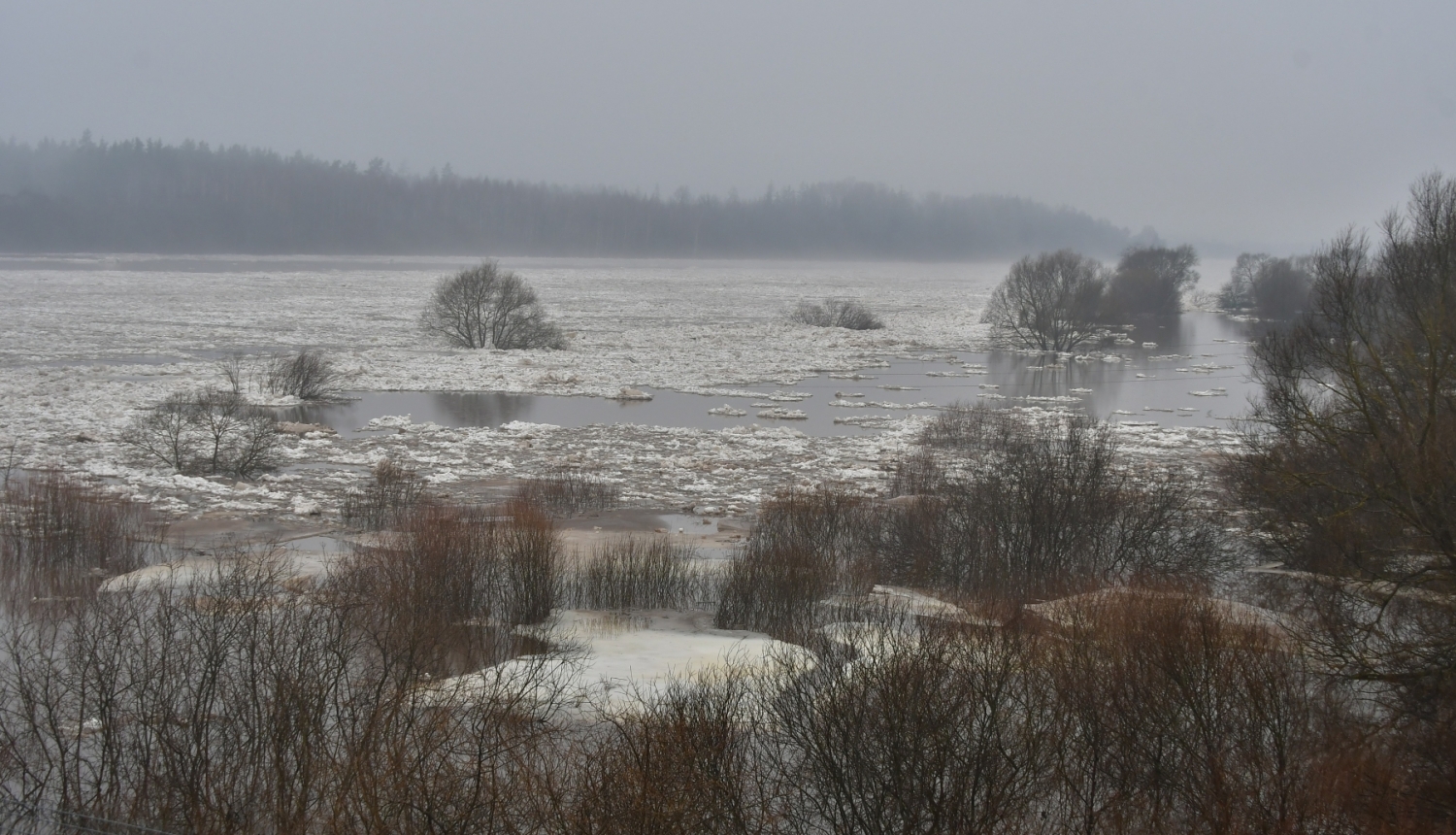Upe Daugava palu laikā