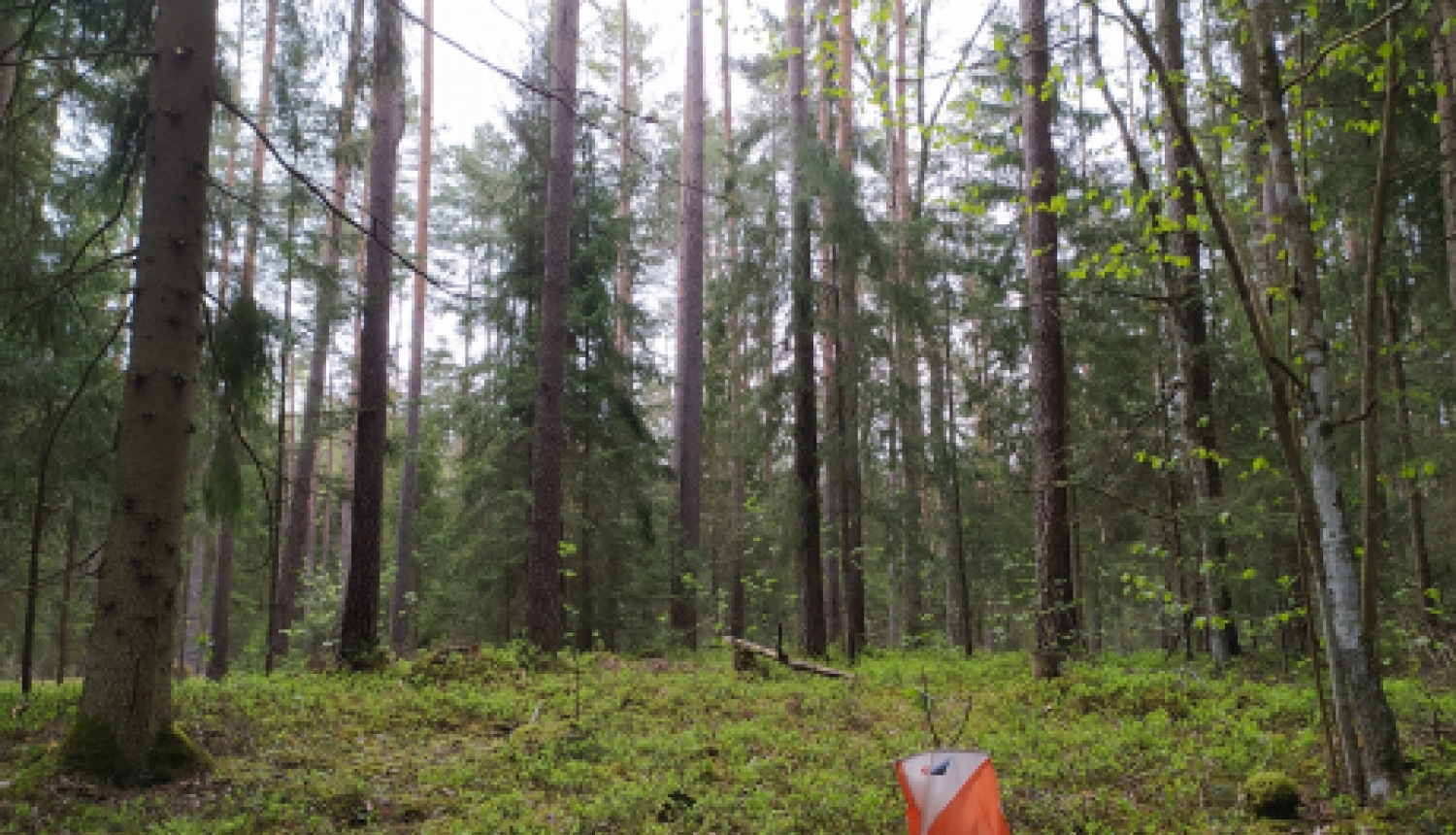 Aprīlī sāksies “Orientieris 2021” jaunā sezona