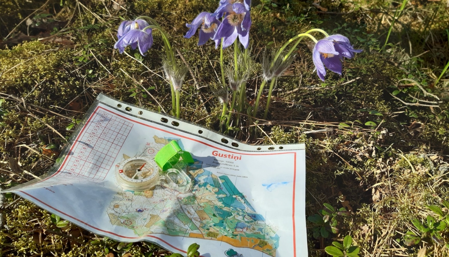 Attēls ar orientēšanās karti, kas nolikta uz zālāja, fonā no zemes aug pavasara puķes