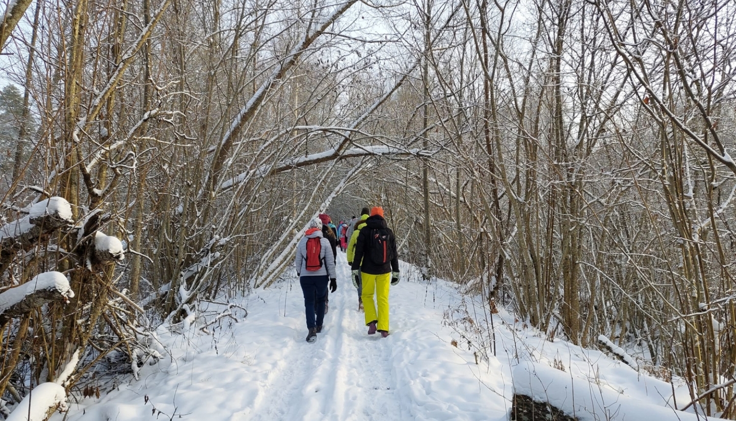 Personas dodas pārgājienā pa sniegotu meža celiņu