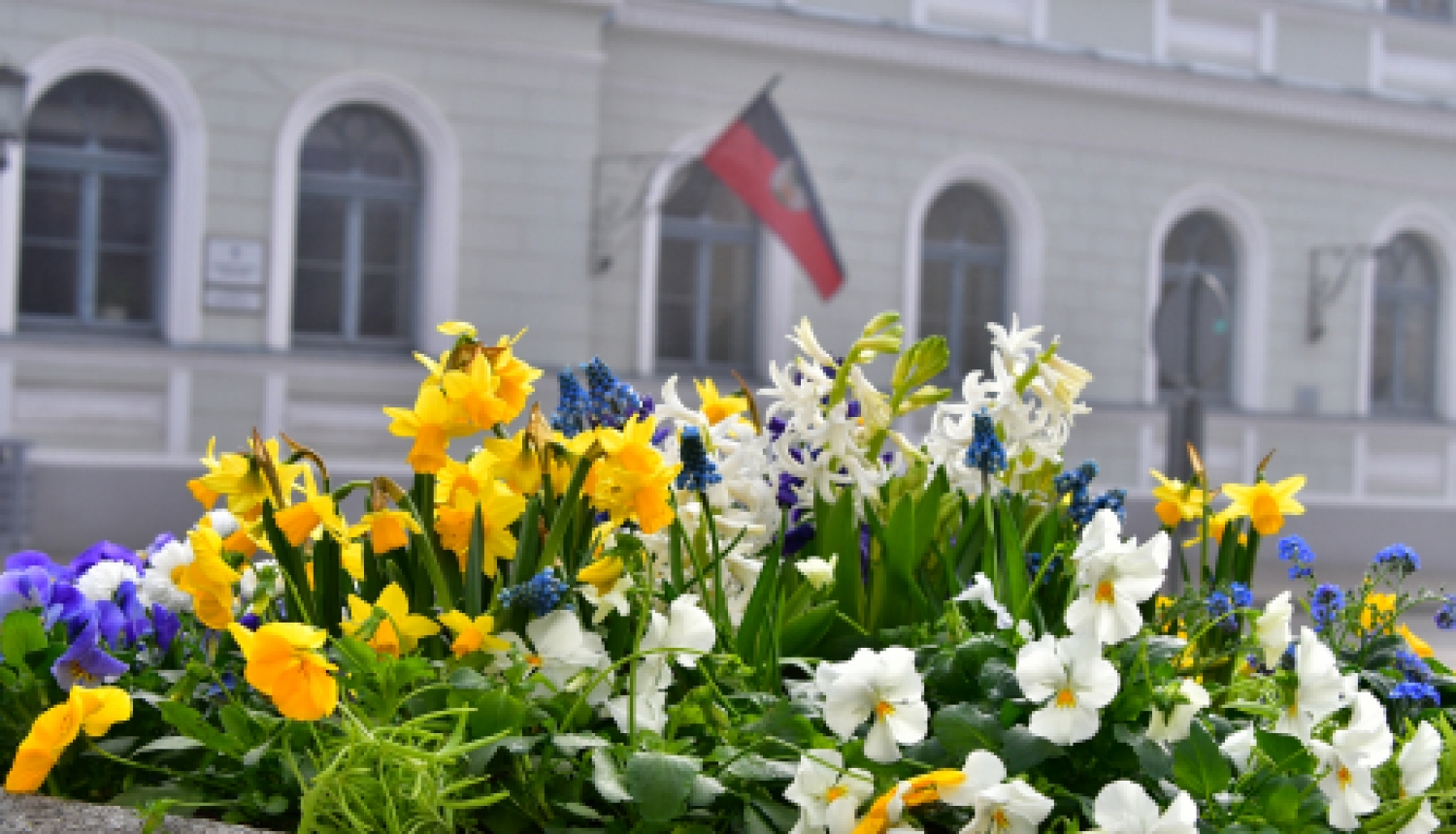 Par skolu mācību procesu klātienē dome atkārtoti lems pēc Lieldienām