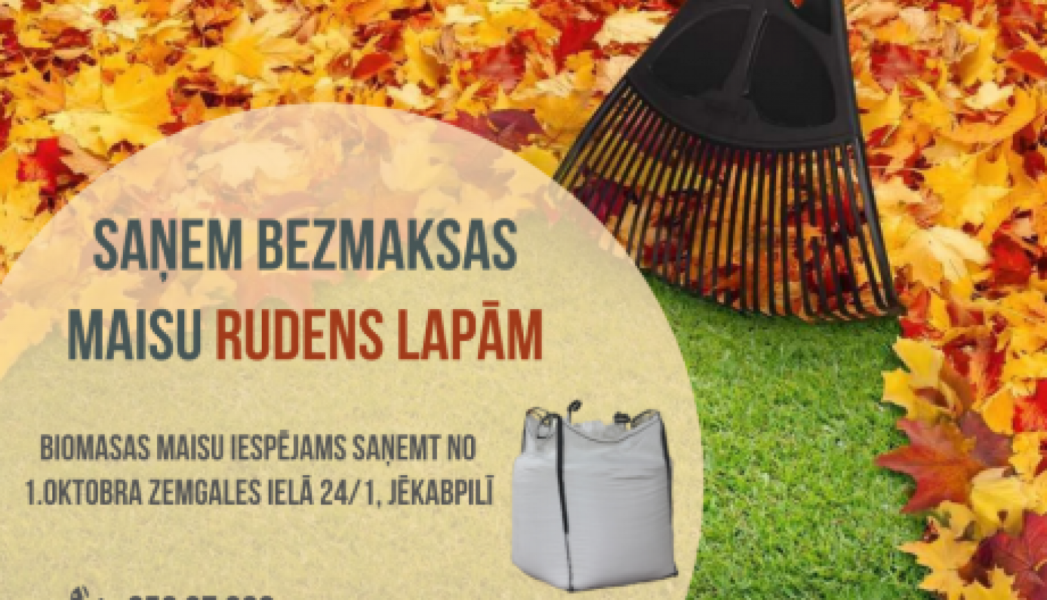 No 1.oktobra iespējams saņemt bezmaksas maisu rudens lapām